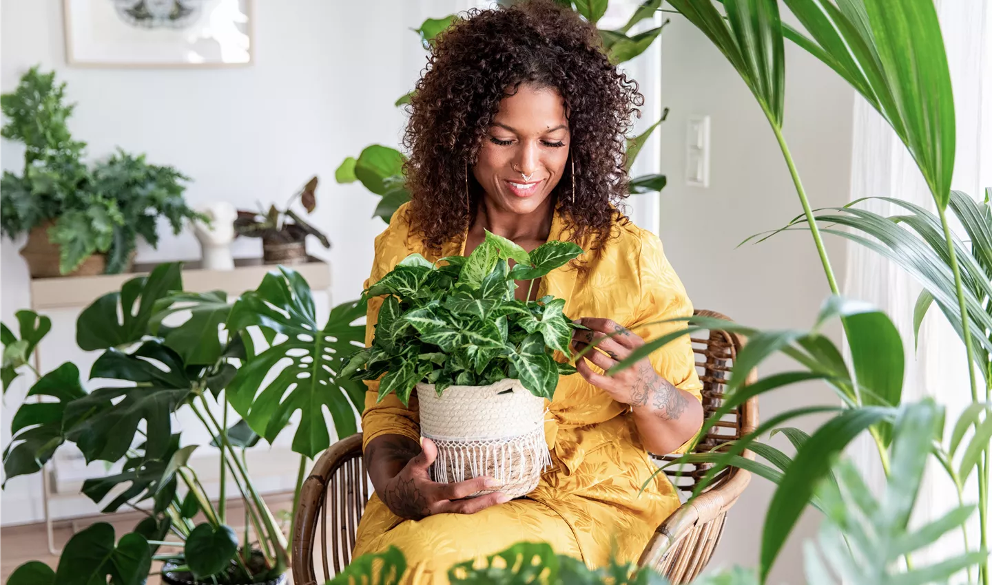 Jungle Ambiente - Frau im Wohnzimmer hält Zimmerpflanze