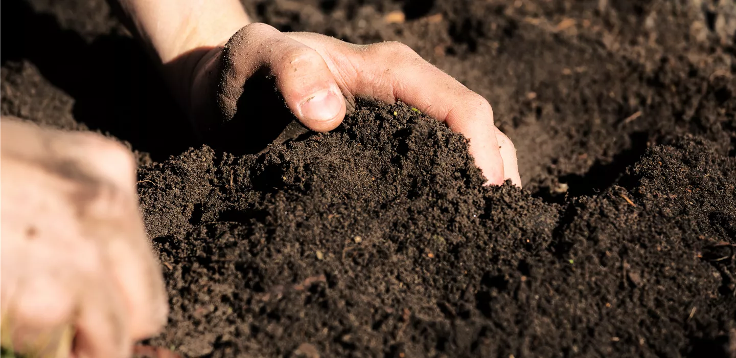 Bodenaktivatoren sorgen für gesunde Böden