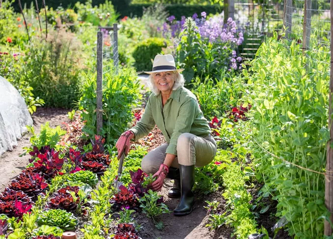 Gartenarbeit - Frau mit Salat und Gartenschaufel