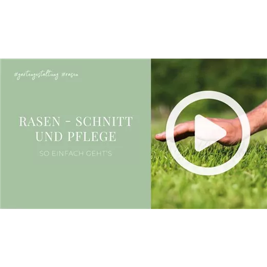 Rasen - Schnitt und Pflege Rasen - Schnitt und Pflege