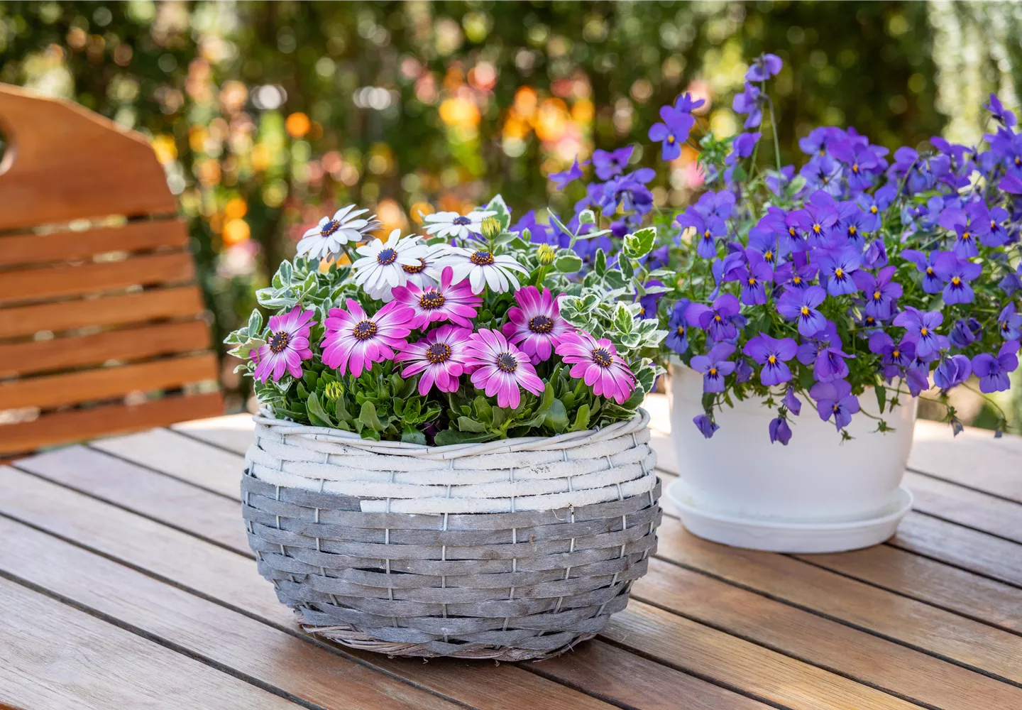 Bepflanzter Korb im Gartenambiente