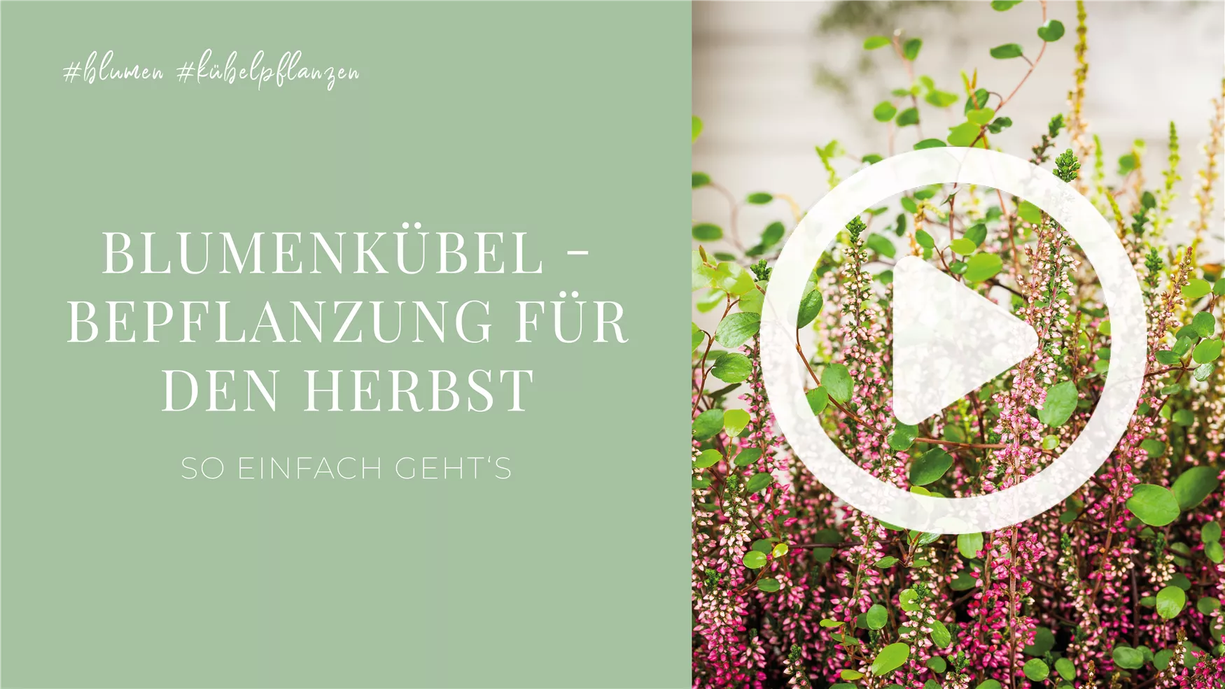 Blumenkübel - Bepflanzung für den Herbst