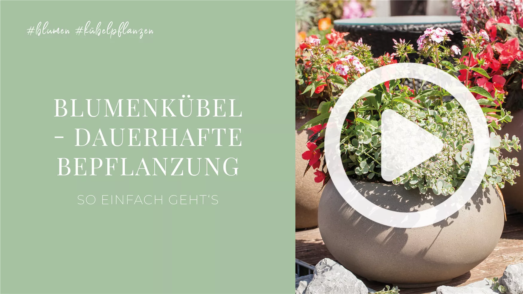 Blumenkübel - Dauerhafte Bepflanzung