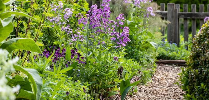 Blumenbeet mit Rindenmulch