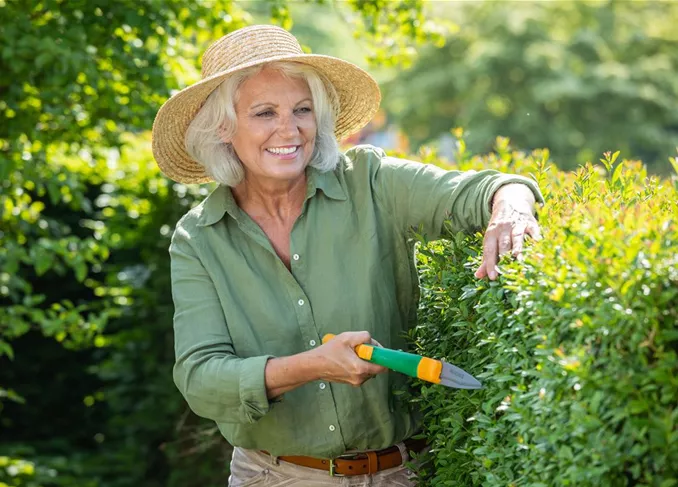 Gartenarbeit - Hecke schneiden