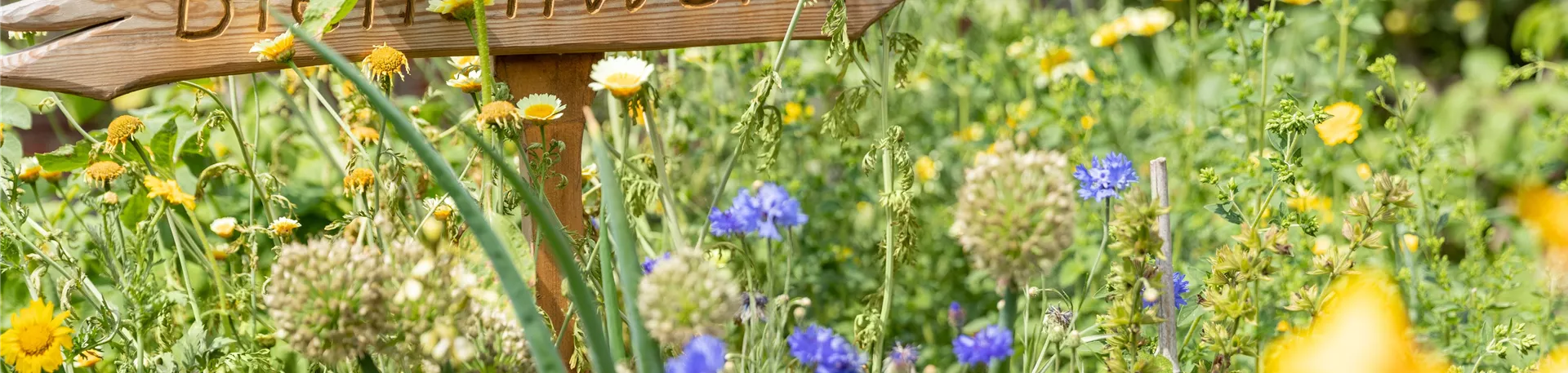 Gartendeko - "Bienenweide" Schild