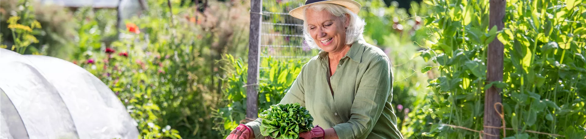 Gartenarbeit - Frau mit Salat und Gartenschaufel 