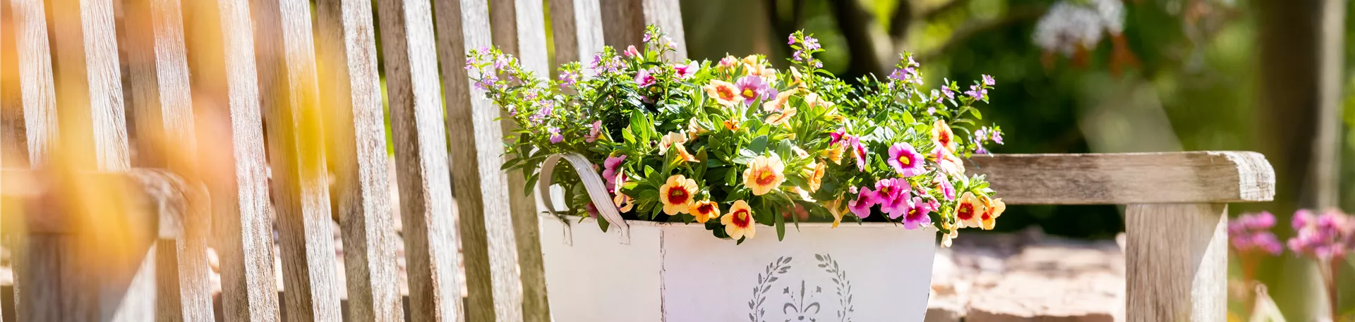 Bepflanzter Übertopf im Gartenambiente