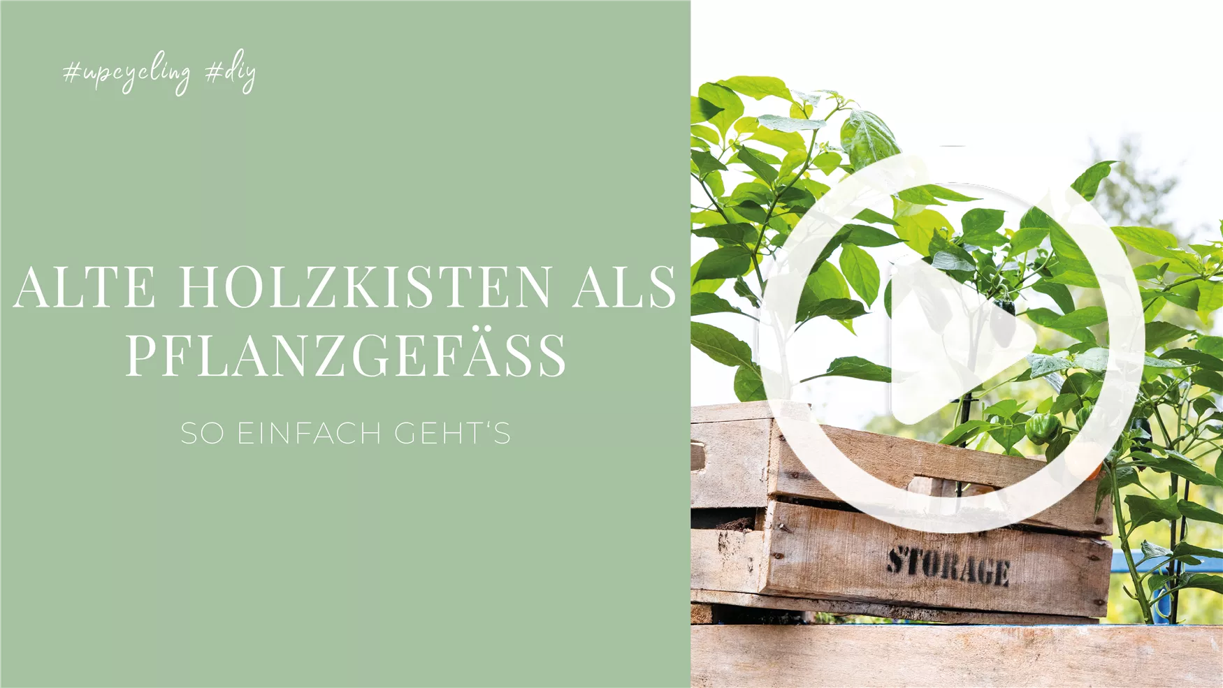 Alte Holzkisten als Pflanzgefäße