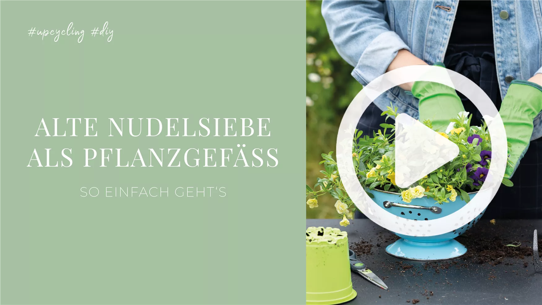 Alte Nudelsiebe als Pflanzgefäße