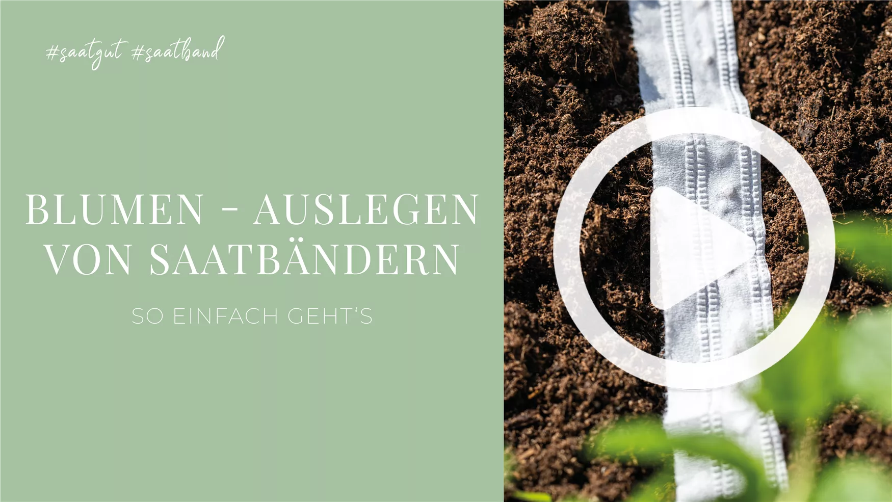 Blumen - Auslegen von Saatbändern