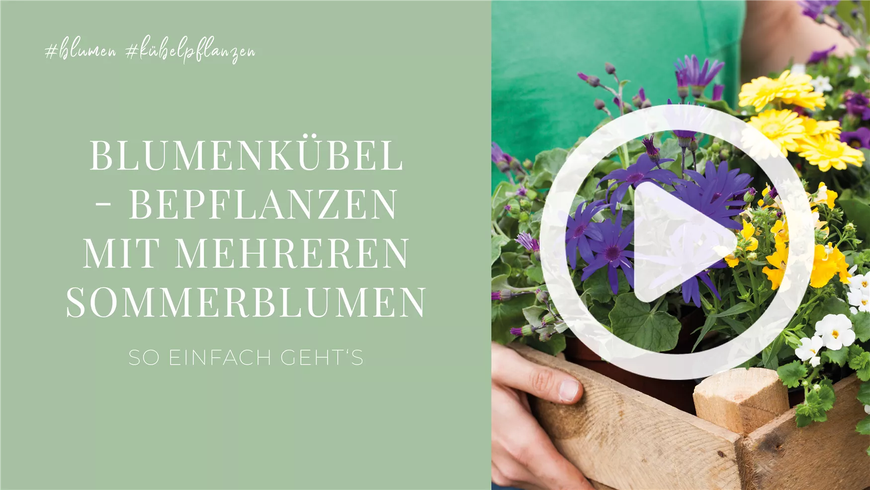 Blumenkübel - Bepflanzen mit mehreren Sommerblumen