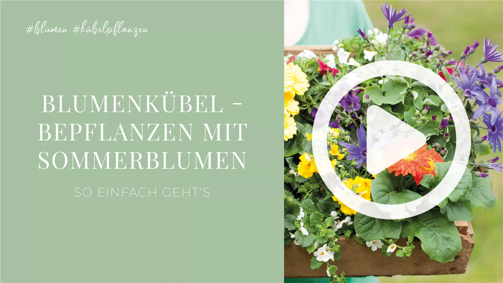 Blumenkübel - Bepflanzen mit Sommerblumen