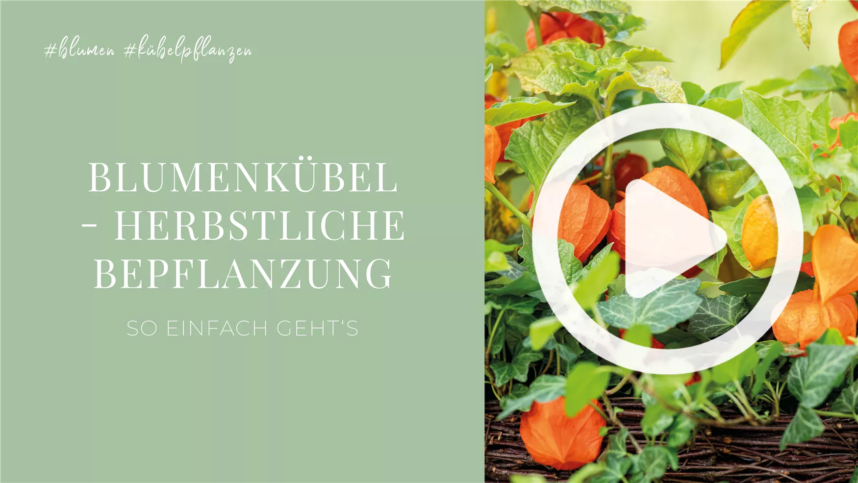 Blumenkübel - Herbstliche Bepflanzung