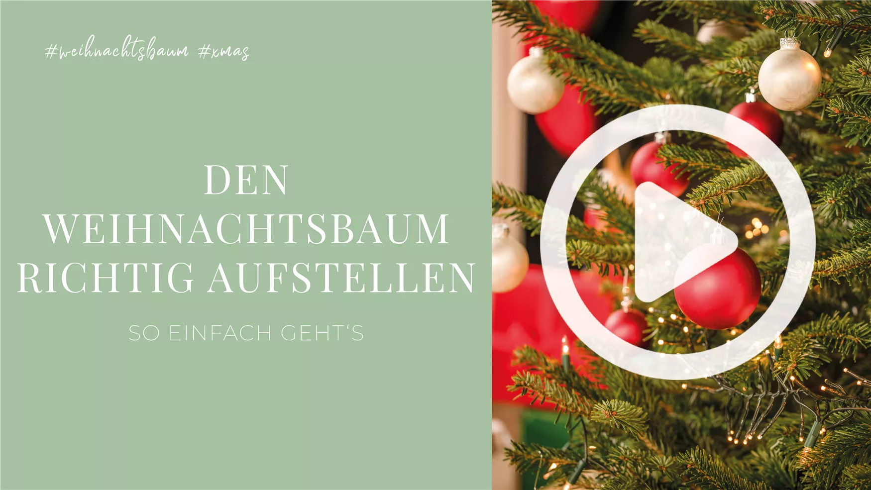 Den Weihnachtsbaum richtig aufstellen