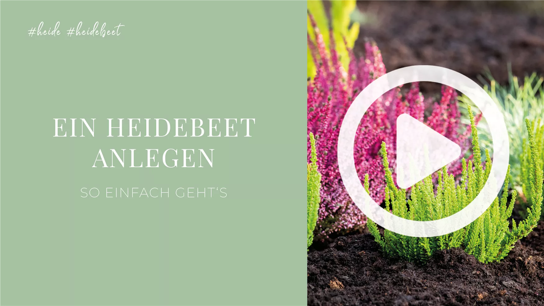 Ein Heidebeet anlegen