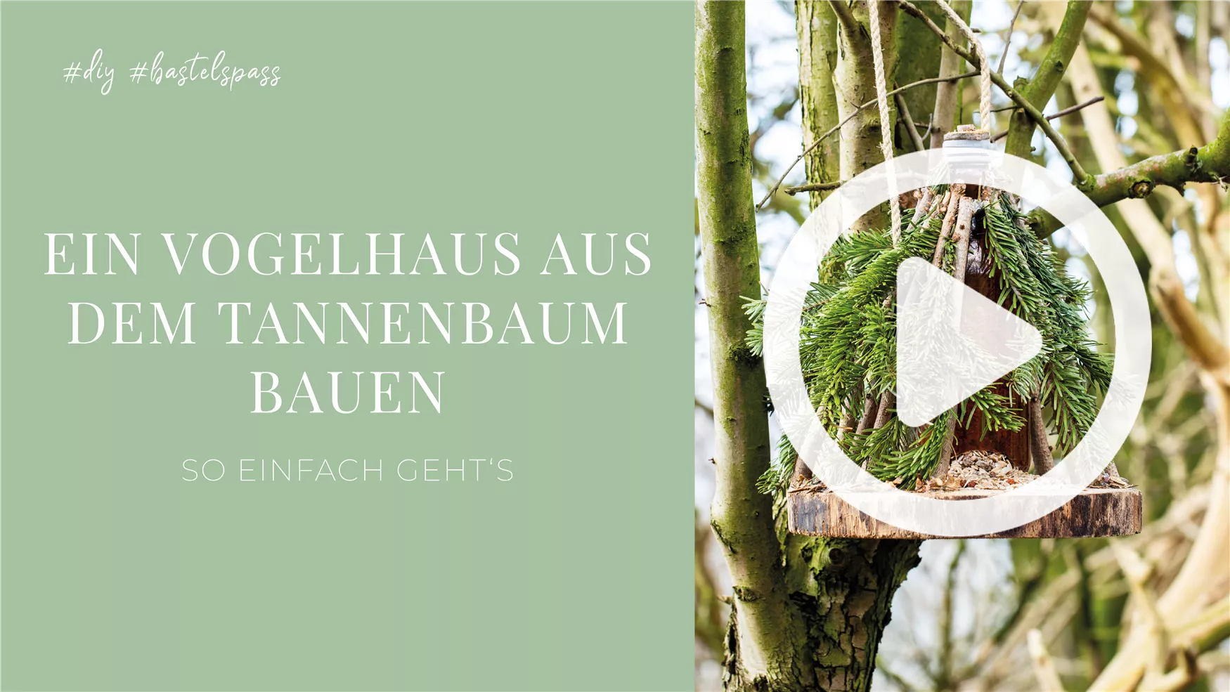 Ein Vogelhaus aus dem Tannenbaum bauen