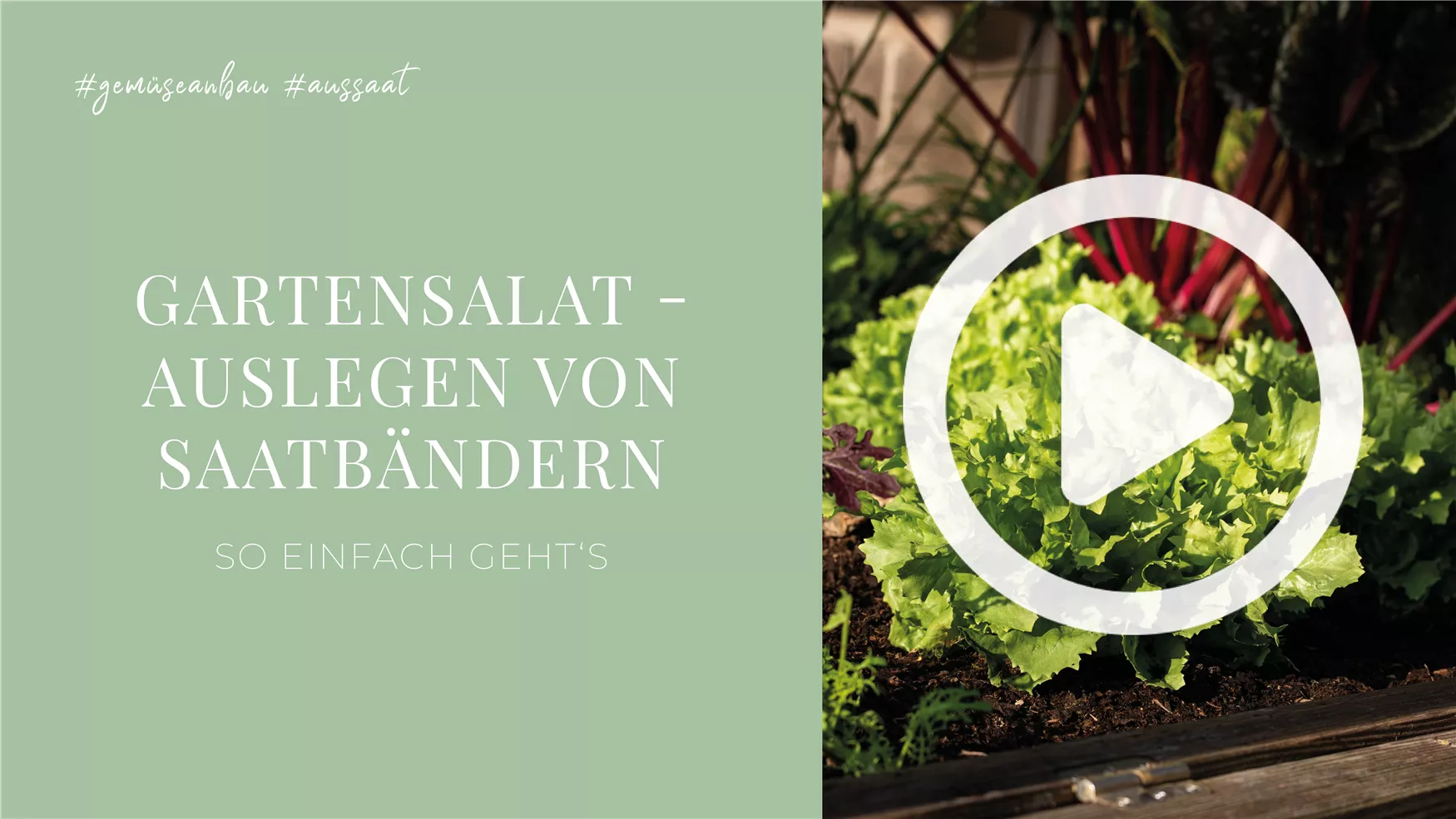 Gartensalat - Auslegen von Saatbändern