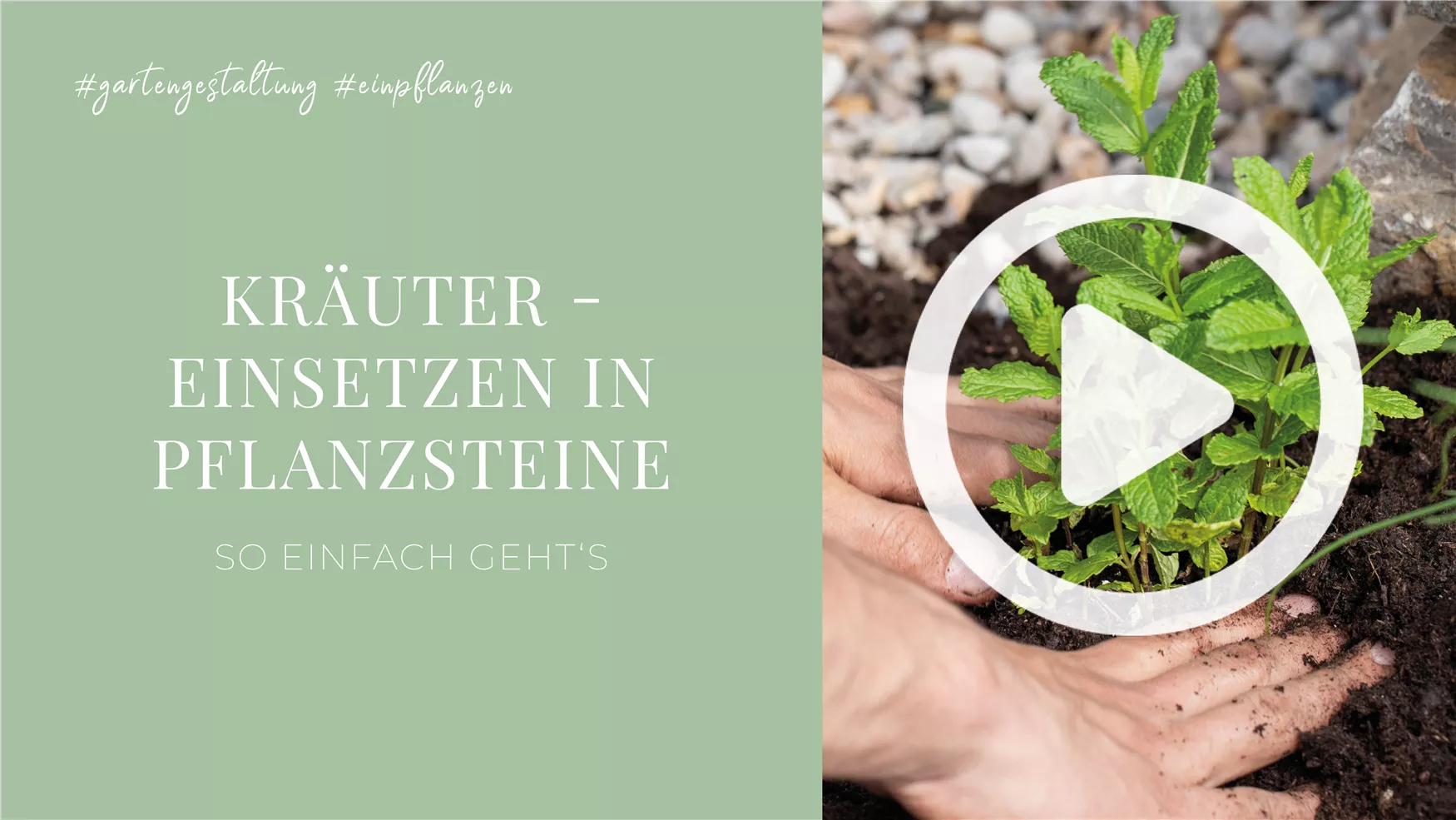 Kräuter - Einsetzen in Pflanzsteine