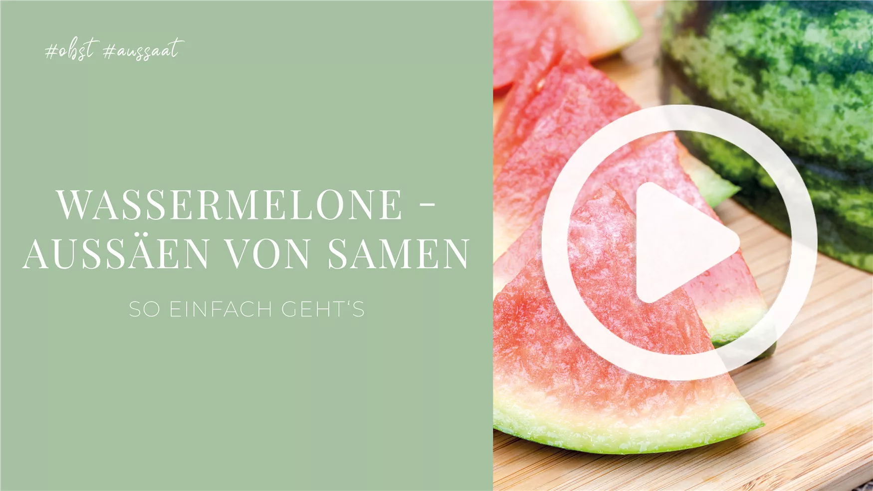 Wassermelone - Aussäen von Samen