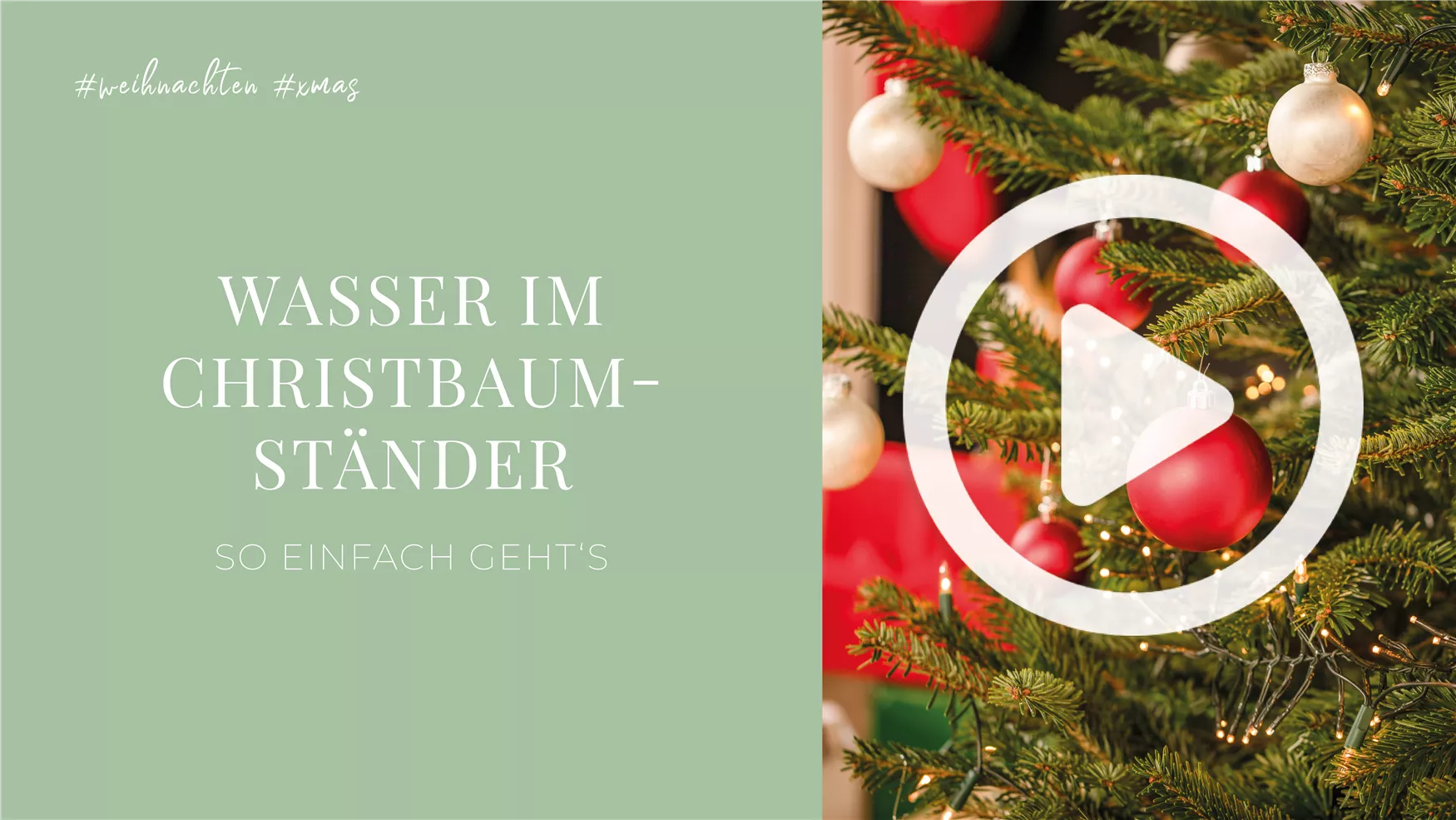 Wasser im Christbaumständer