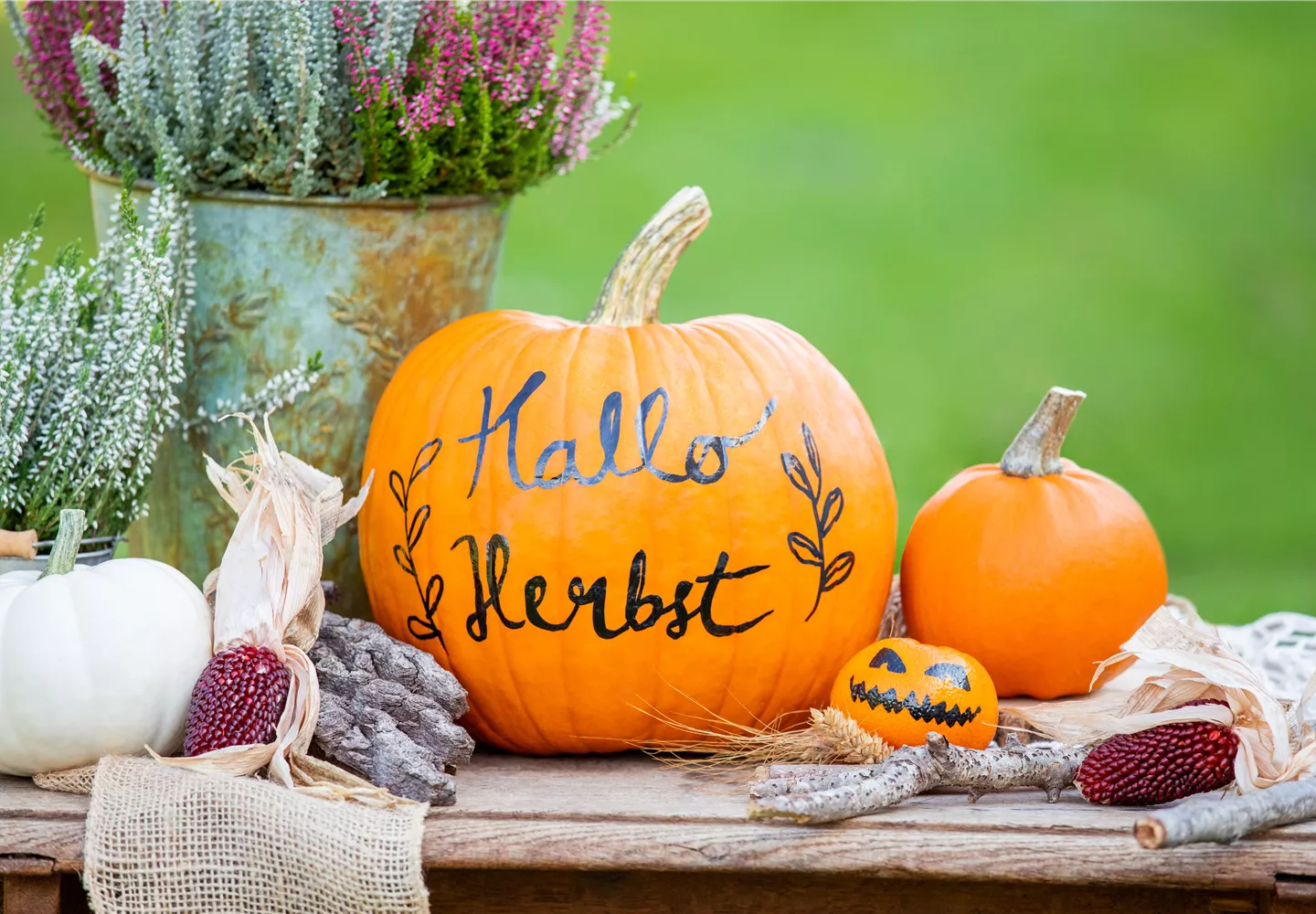 Herbstdeko - Kürbisse und Heide