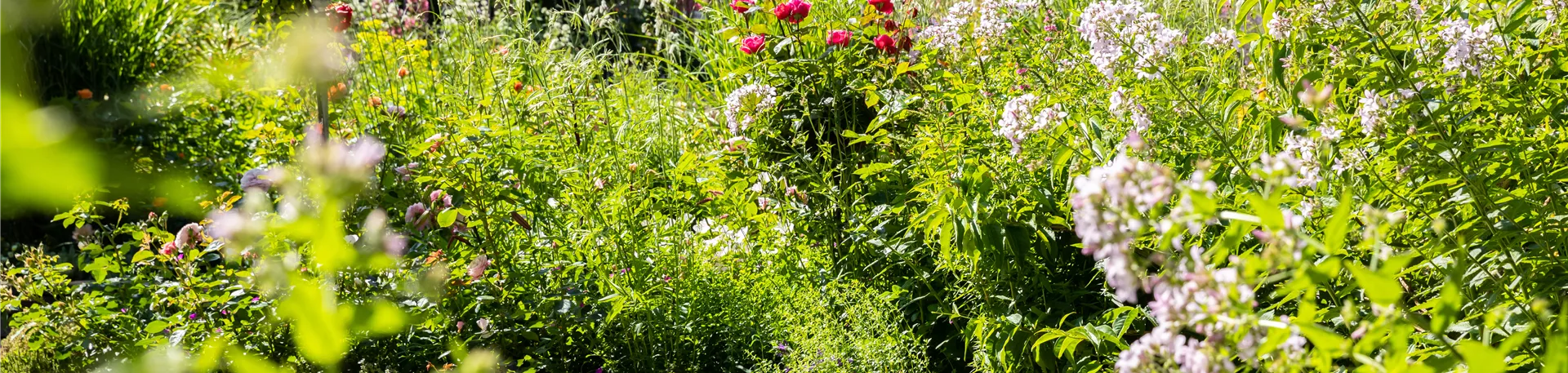 Gartenambiente