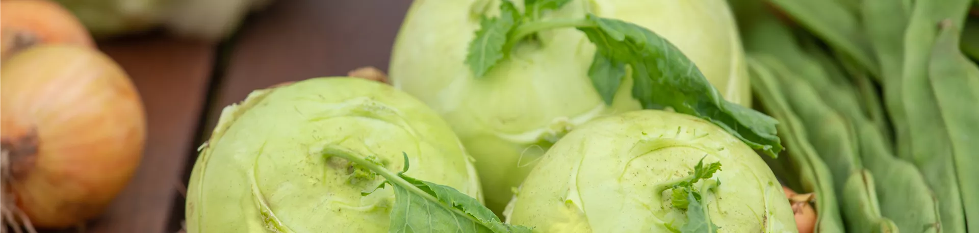 Kohlrabi