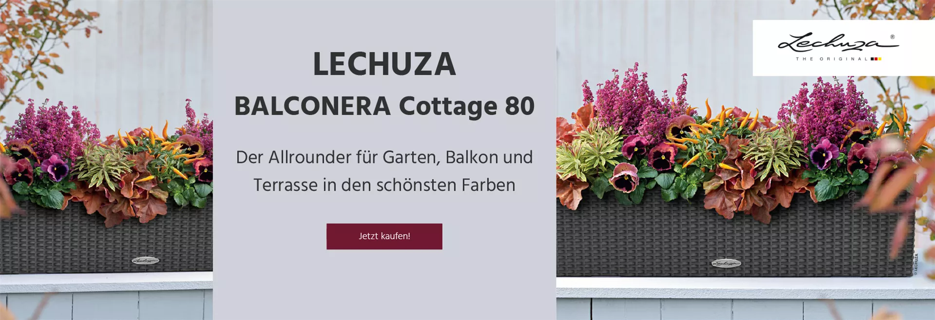 Entdecken Sie unseren LECHUZA BALCONERA Cottage 80