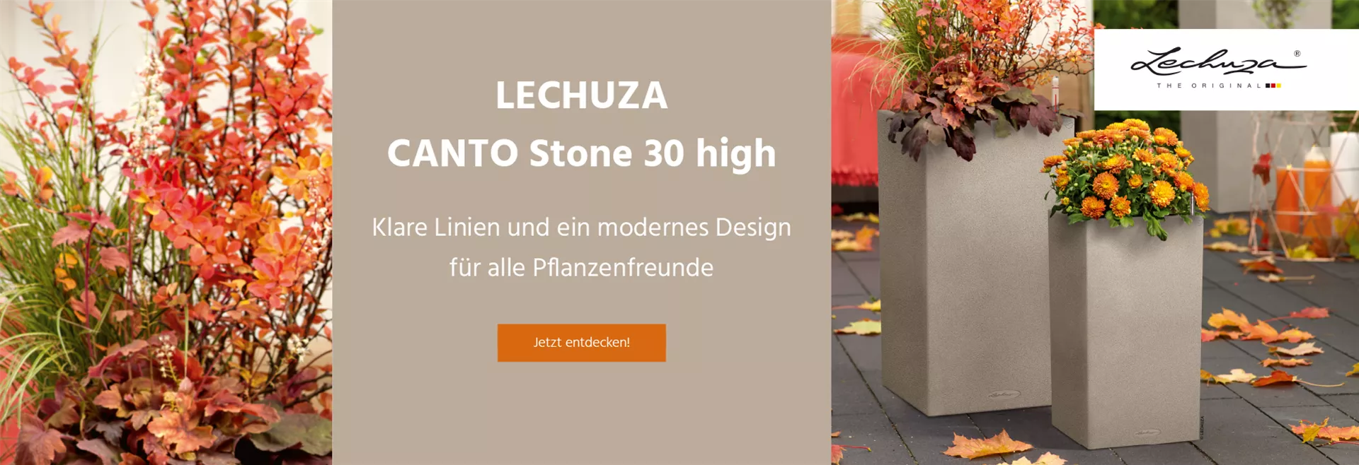 Entdecken Sie unseren LECHUZA CANTO Stone 30 high