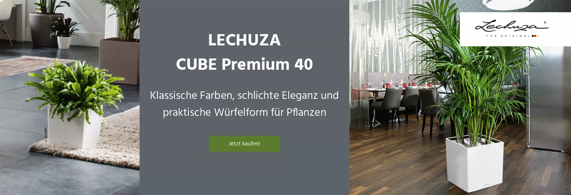 Entdecken Sie unseren LECHUZA CUBE Premium 40