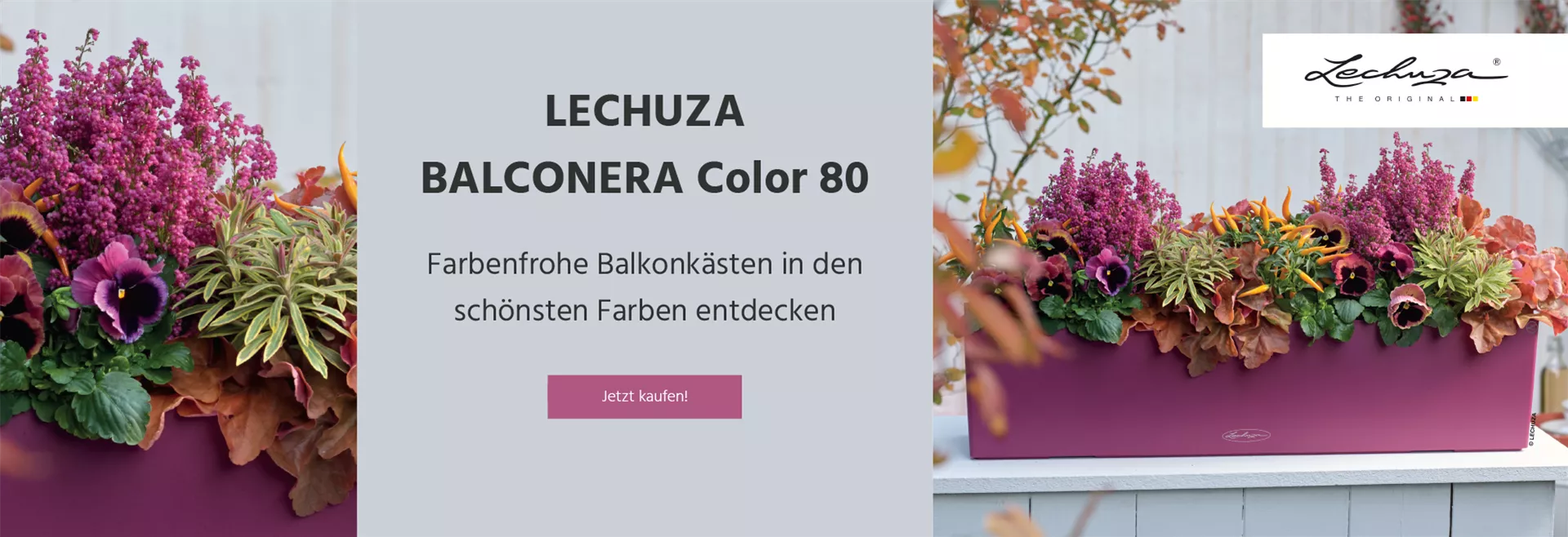 Entdecken Sie unseren LECHUZA BALCONERA Color 80