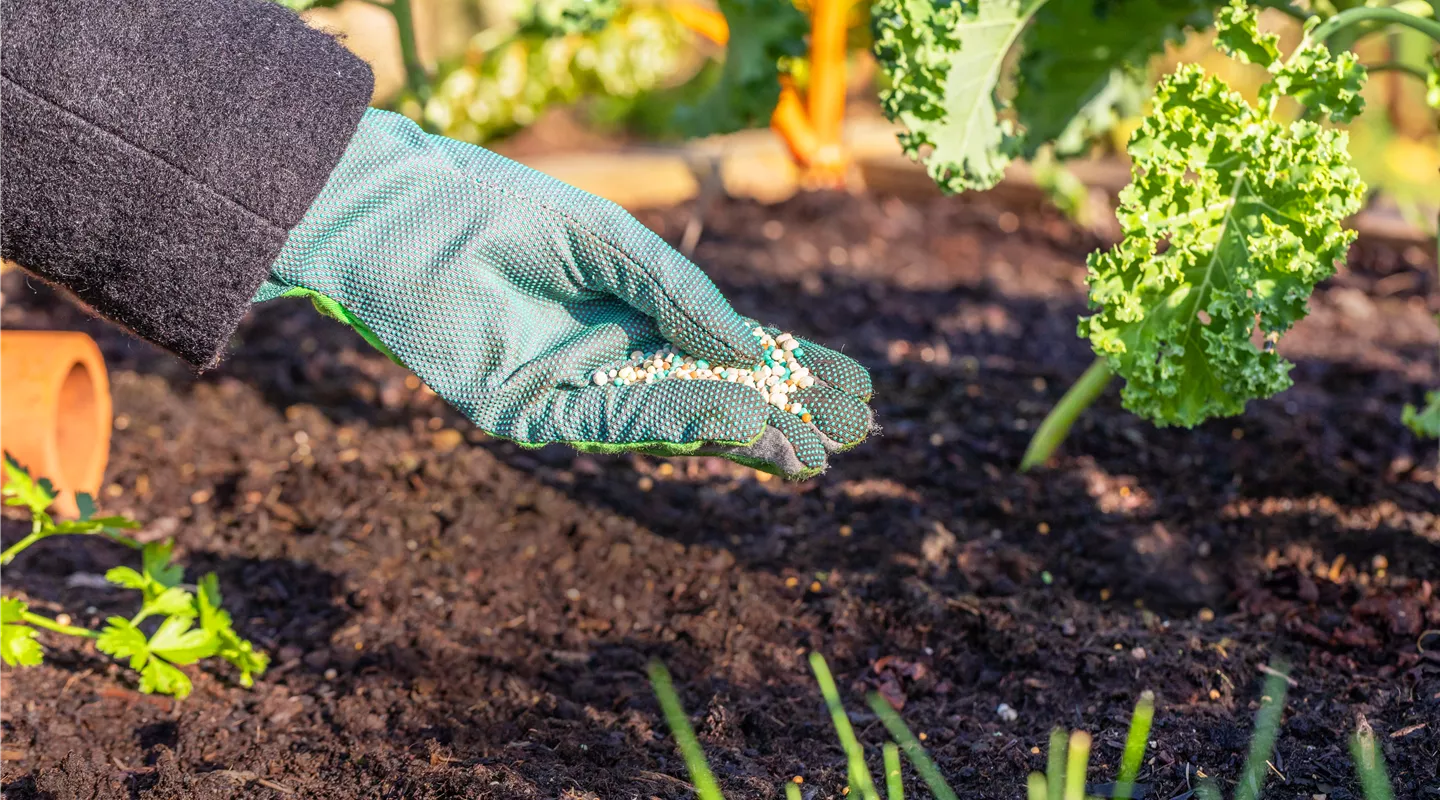 Der richtige Gartendünger sorgt für gesunde Pflanzen