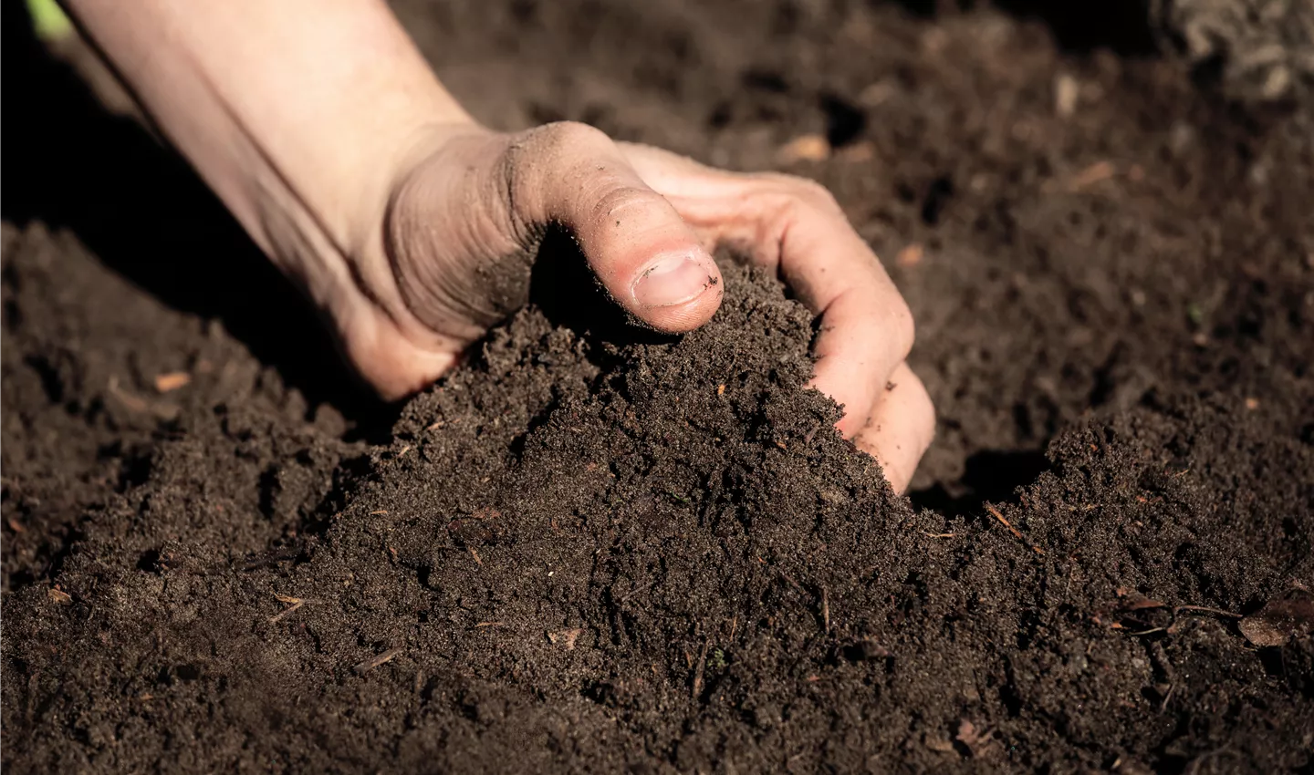 Bio Erde ist gut für deine Pflanzen