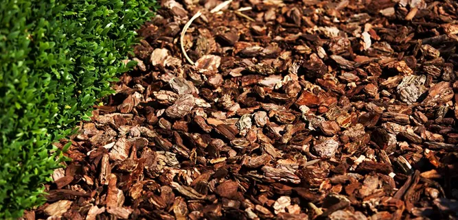 Dekormulch