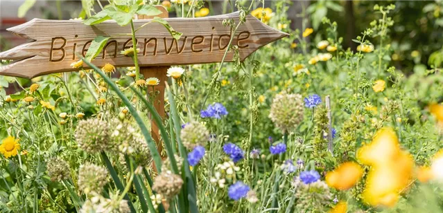 Gartendeko - "Bienenweide" Schild