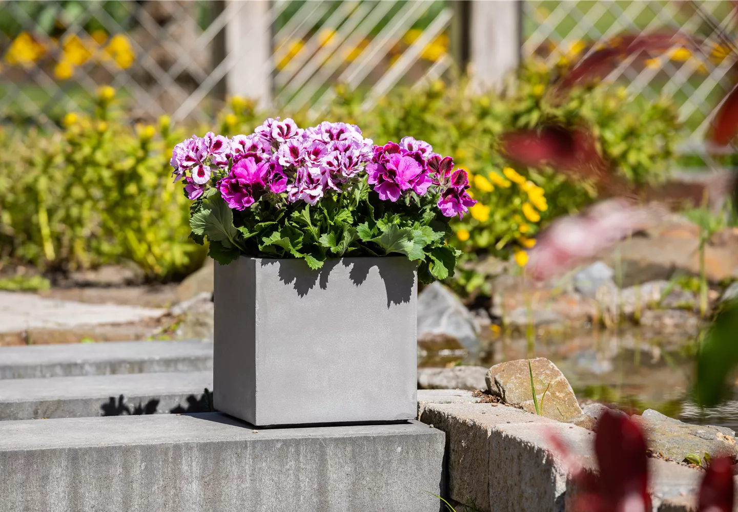 Bepflanzter Kübel im Gartenambiente