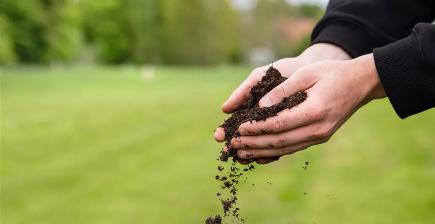 Blumenerde kaufen und den Pflanzen Gutes tun