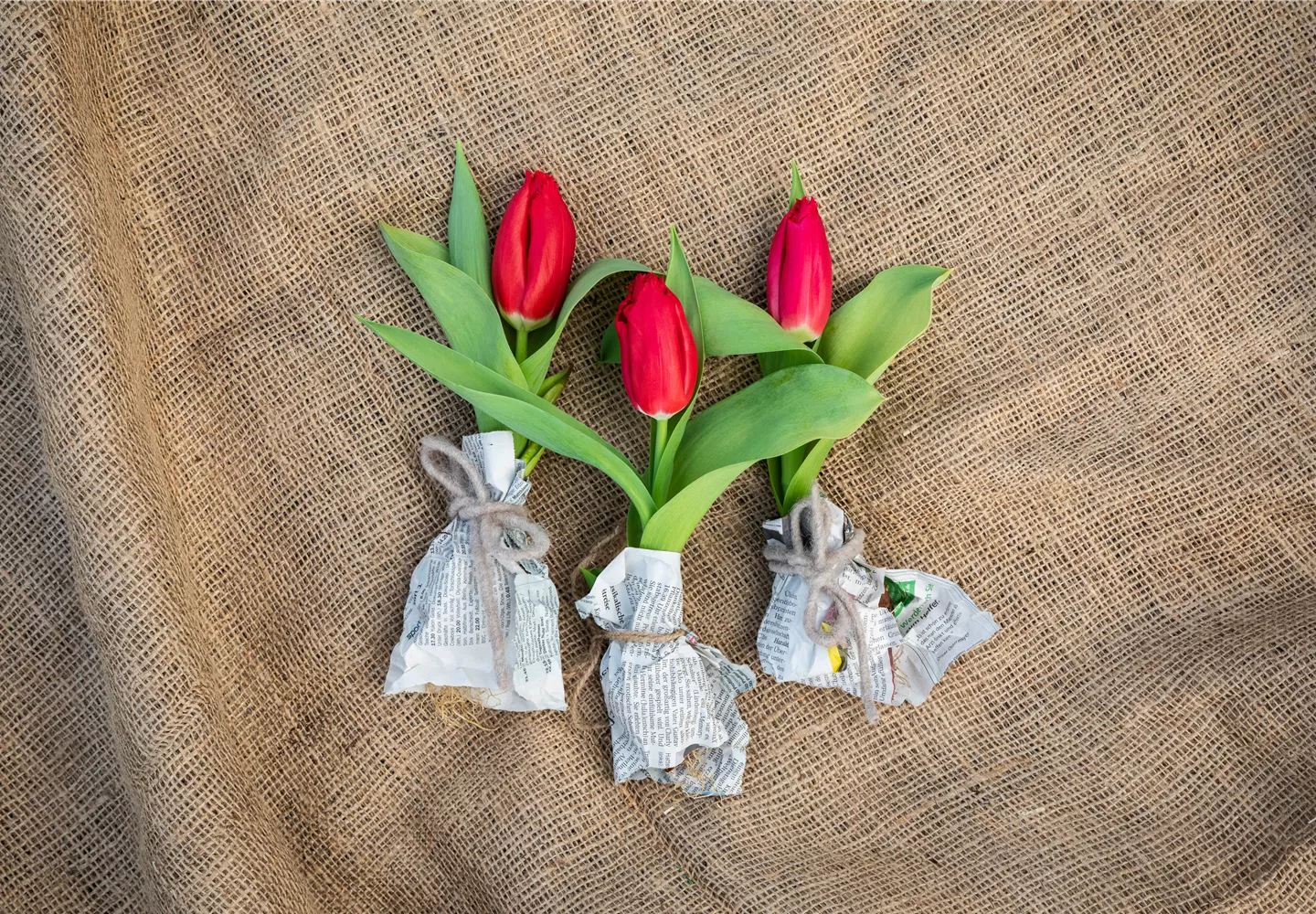 Tulpen im Ambiente