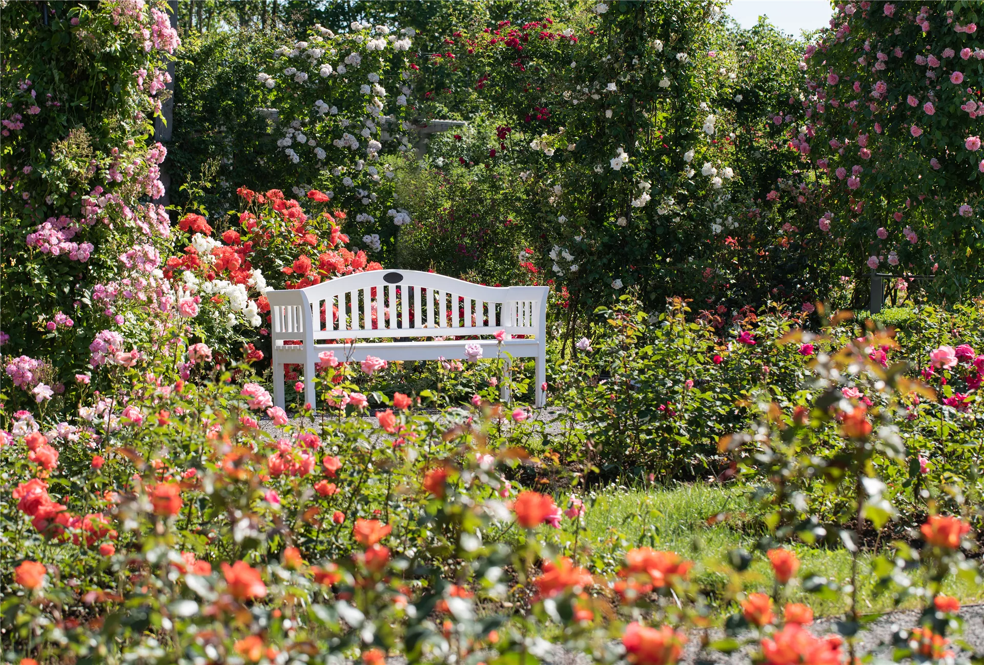 Ein Meer aus Blüten und Duft 