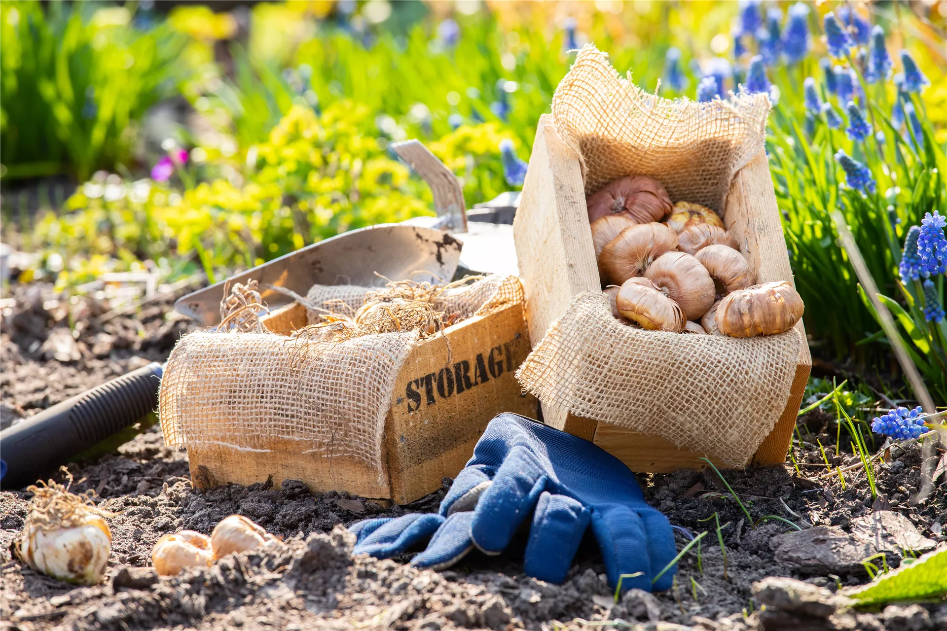 Auf die Plätze, fertig, Frühling! 