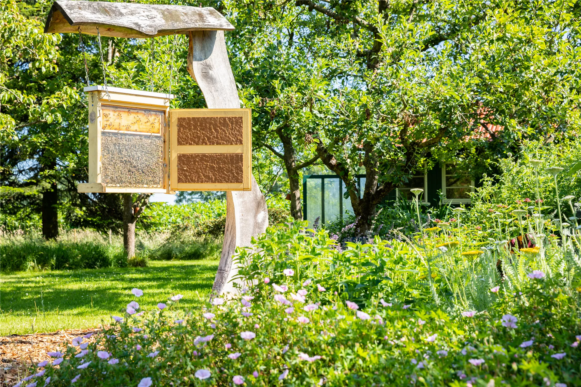 Lass die Natur in deinen Garten