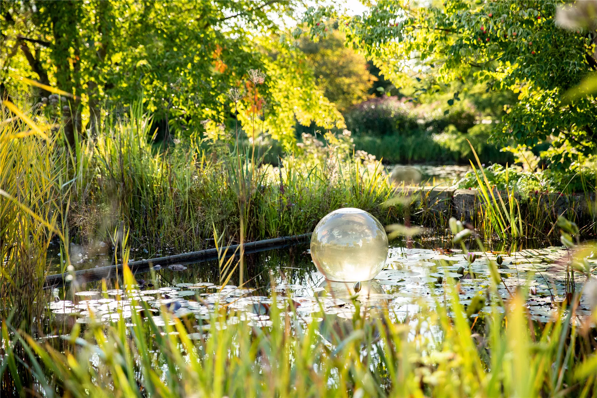 Cool down am Gartenteich