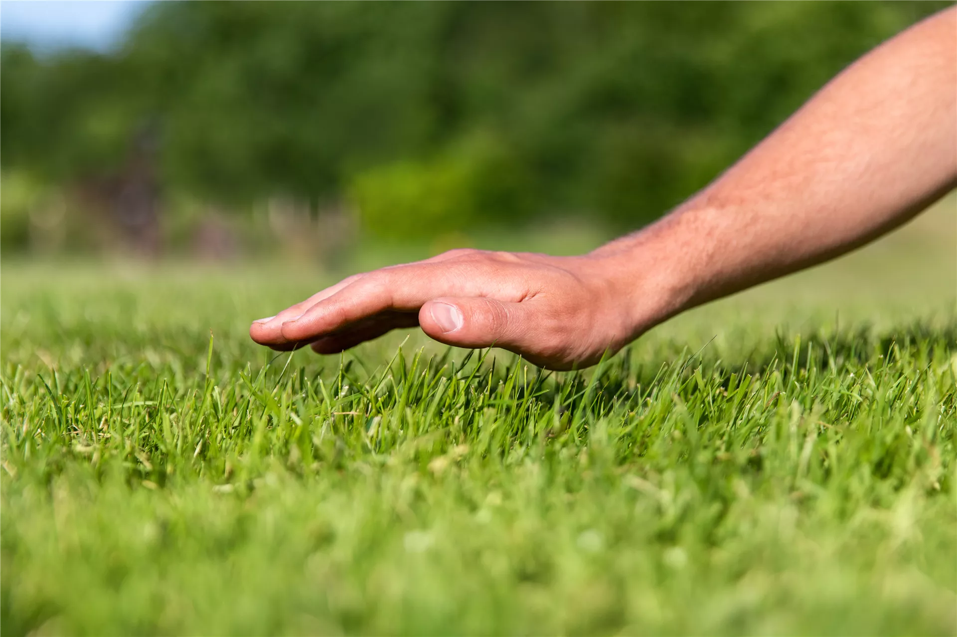 Aufgepasst: Grasgeflüster!