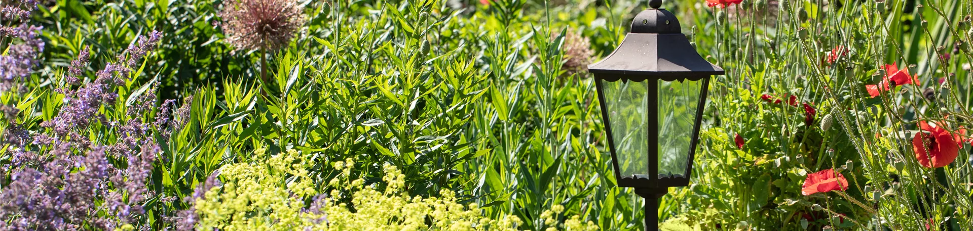 Gartenbeleuchtung im Staudenbeet